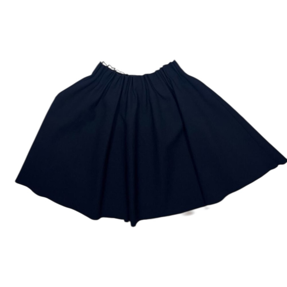 Zara Flared Skirt Elastic Waist Pleated Black- S